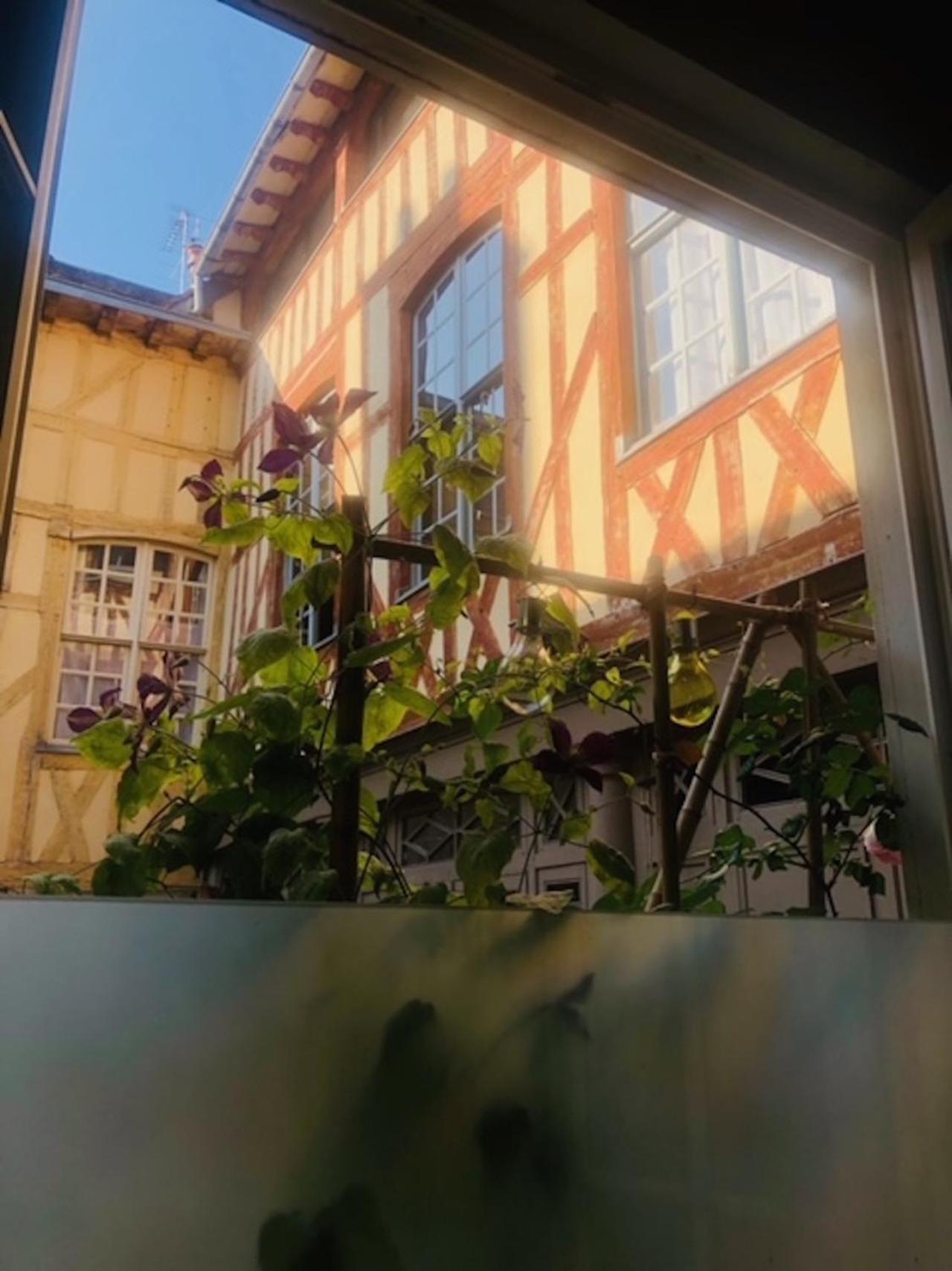 דירות Atelier Des Glycines, Troyes Bouchon De Champagne, Sublime Site Patrimonial מראה חיצוני תמונה