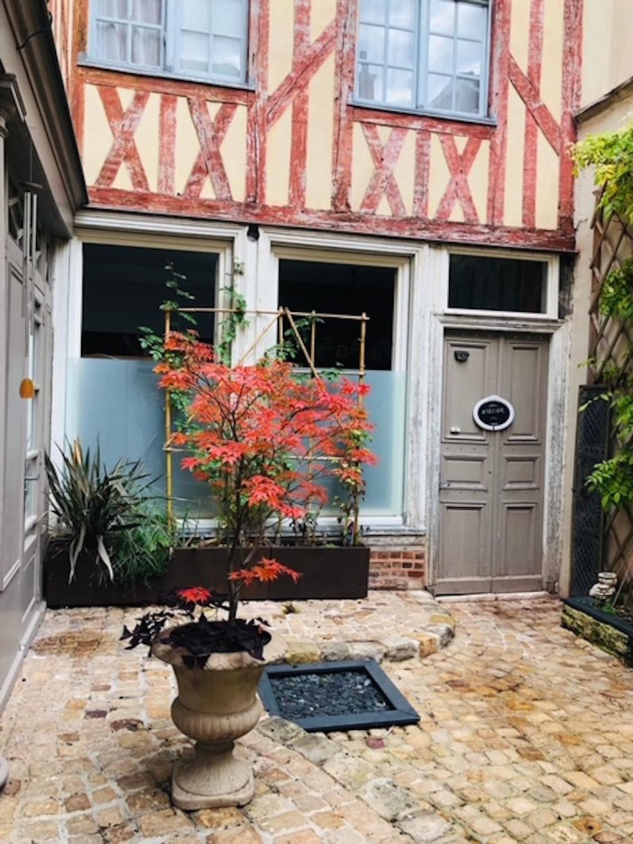 דירות Atelier Des Glycines, Troyes Bouchon De Champagne, Sublime Site Patrimonial מראה חיצוני תמונה